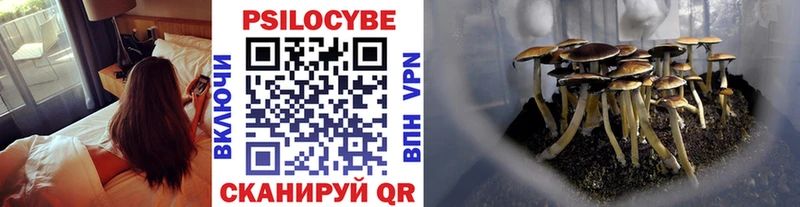 Псилоцибиновые грибы мицелий где продают Руза